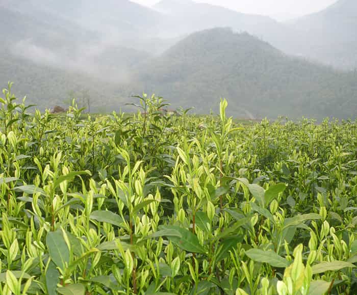 精雕機(jī)精加工時(shí)切削量應(yīng)該如何設(shè)置